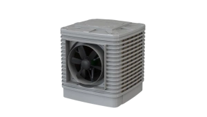 Alindair 20 Plus